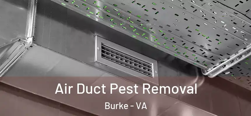  Air Duct Pest Removal Burke - VA