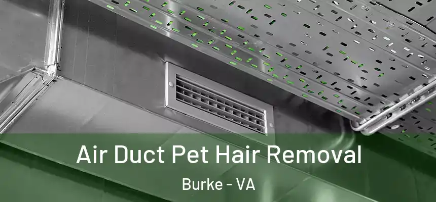 Air Duct Pet Hair Removal Burke - VA