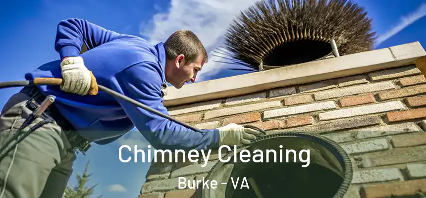 Chimney Cleaning Burke - VA