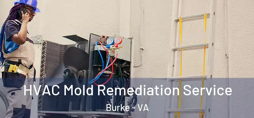 HVAC Mold Remediation Service Burke - VA