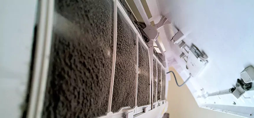 Preventive Air Duct Bacteria Removal in Burke