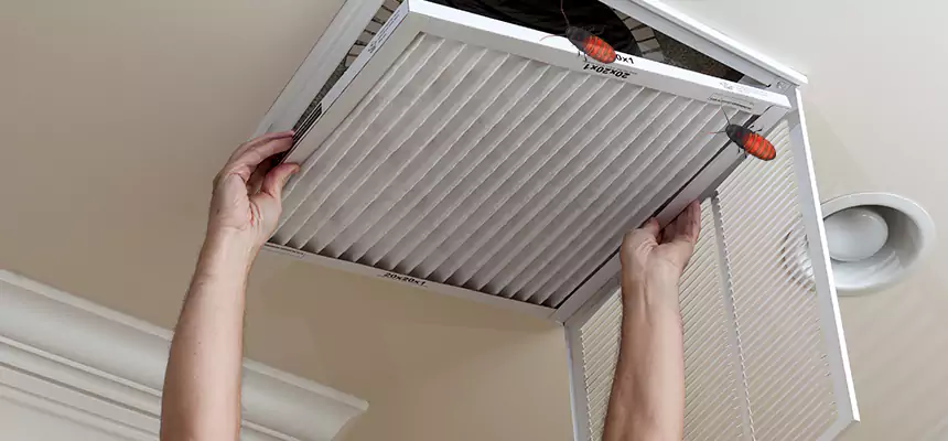 Preventive Cockroach-Proofing for Ducts in Burke