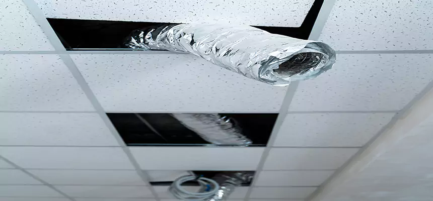 Our Air Duct Pet Hair Removal Services in Burke, VA