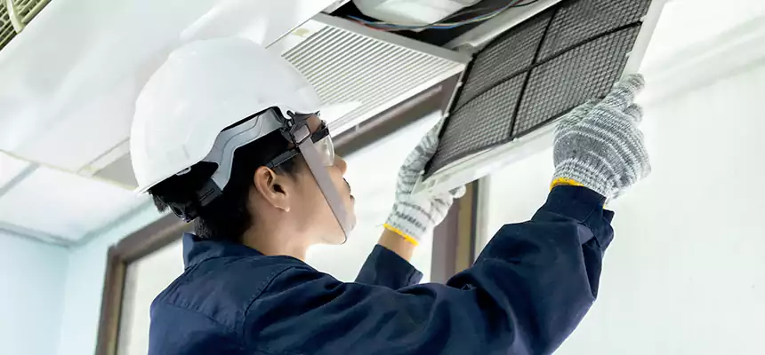 Our Mold & Mildew Removal from Air Ducts Services in Burke, VA