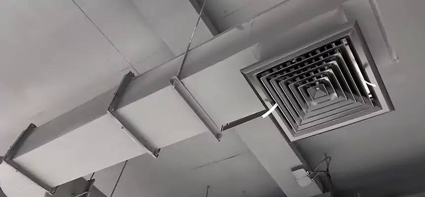 Our Pest Removal From Ducts Services in Burke, VA