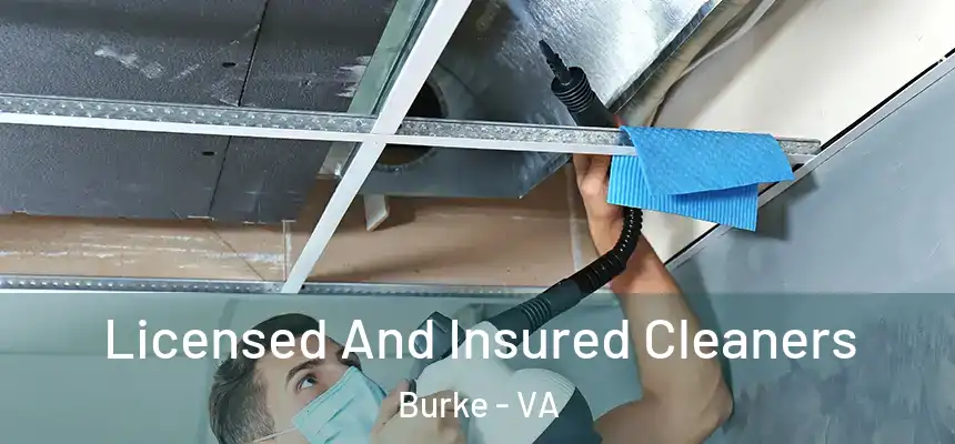  Licensed And Insured Cleaners Burke - VA