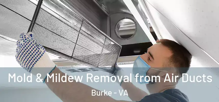 Mold & Mildew Removal from Air Ducts Burke - VA