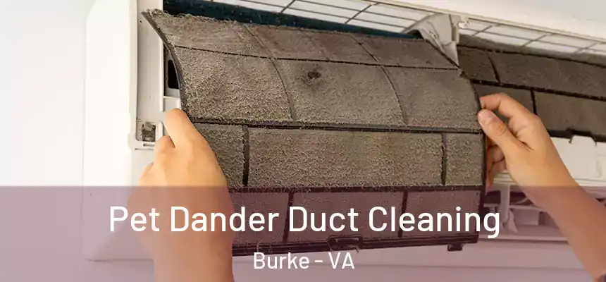  Pet Dander Duct Cleaning Burke - VA