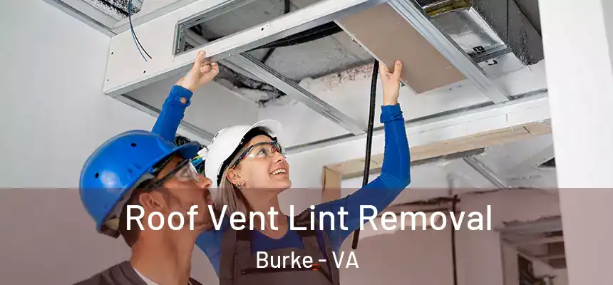Roof Vent Lint Removal Burke - VA