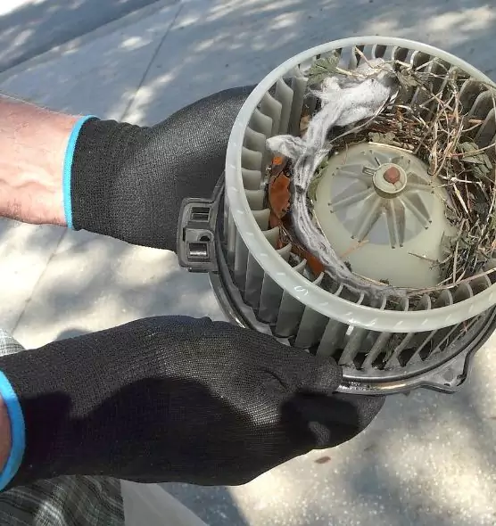 About Air Duct Mice Removal in Burke, VA