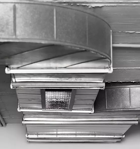 Professional Air Duct Pet Hair Removal in Burke, VA