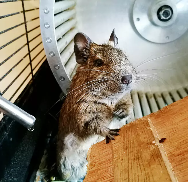 Why Homeowners & Businesses Trust Us Burke, VA?