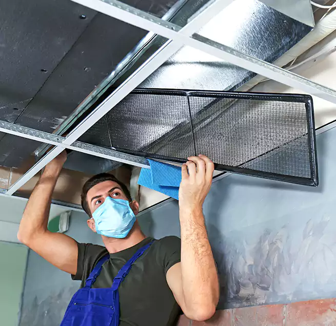 Why Homeowners Businesses Trust Us in Burke, VA