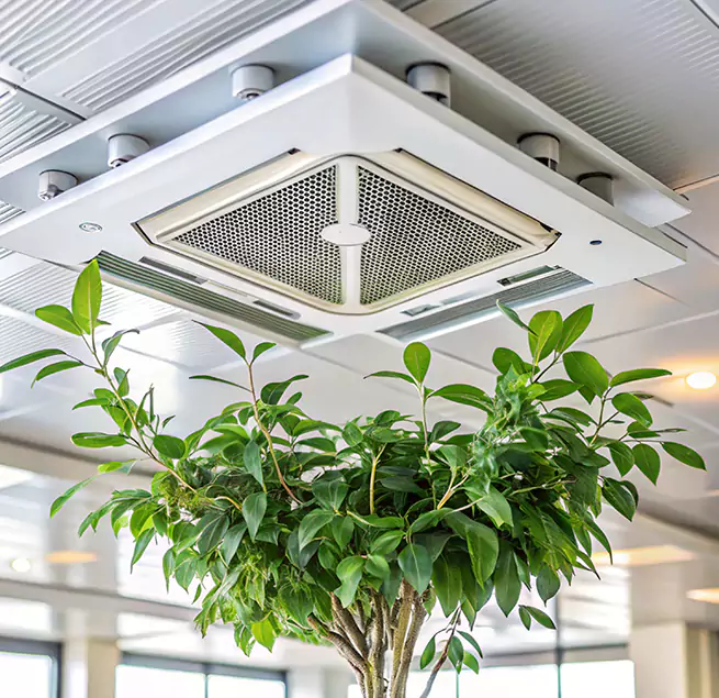 Why Homeowners & Businesses Trust Us in Burke, VA?