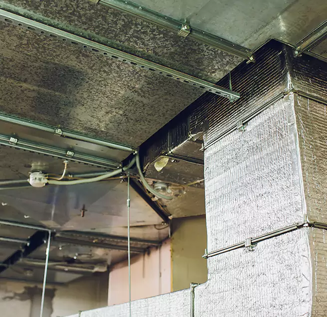 Why Homeowners & Businesses Trust Us in Burke, VA?