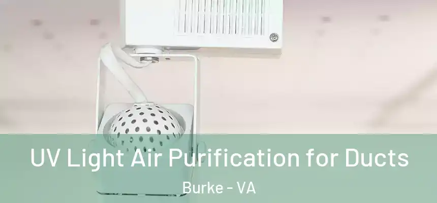  UV Light Air Purification for Ducts Burke - VA